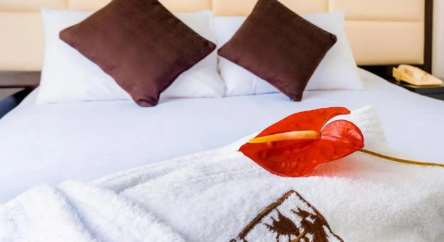 Двухместный номер Standard Roosevelt Hotel & Suites
