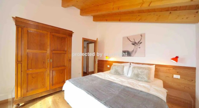 Attic Campiglio Style 6