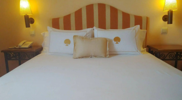 Hotel Cigarral De Caravantes