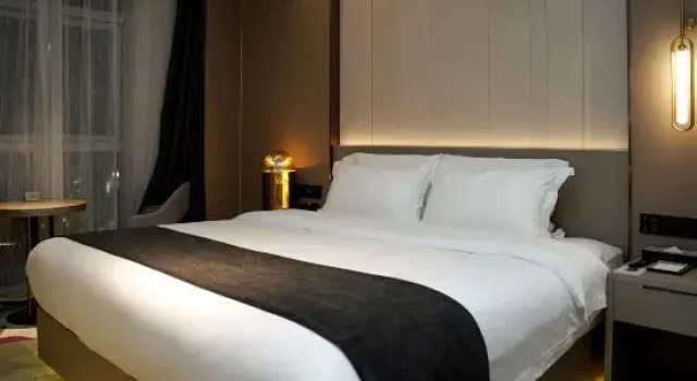 Люкс Business Lavande Hotel (Shanghai Daning International City North High-tech Branch)