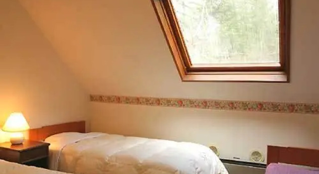 Номер Standard Pension Tateshina Club