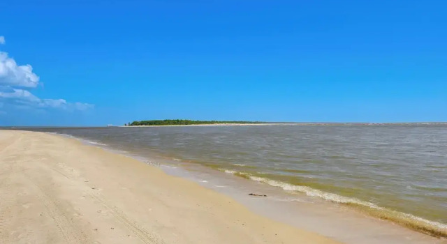 Коттедж Steps to Shore: Luxe Group Retreat in Port St Joe