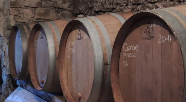 Domaine Houillon
