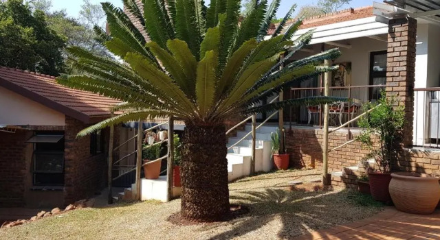 House Mulberry Guesthouse