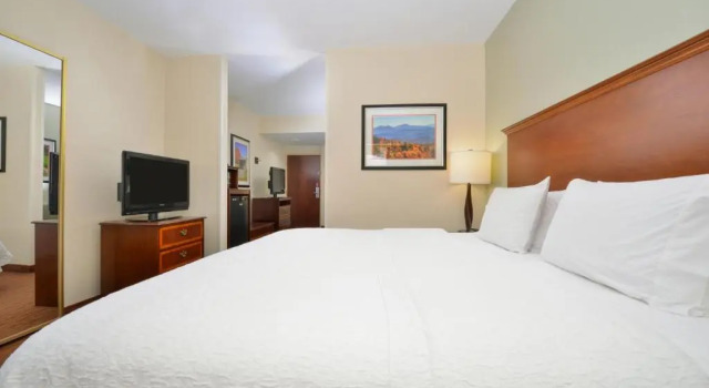 Двухместный номер Deluxe Hampton Inn Waynesboro/Stuarts Draft