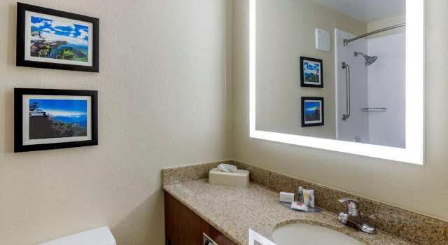 Четырёхместный номер Standard Spark by Hilton Roanoke Civic Center