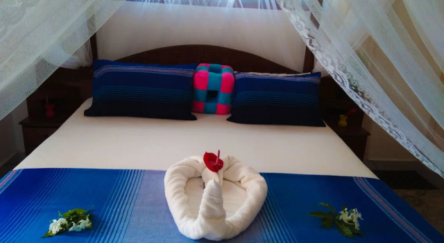 Номер Standard Galle Camellia