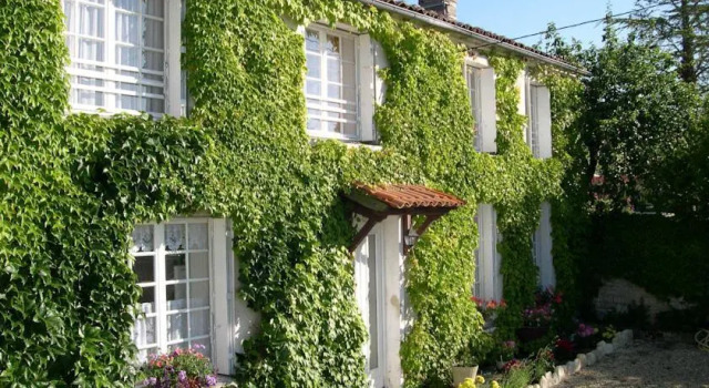 Les Valérianes, Buchen Sie Ferienwohnung Massac Frankreich