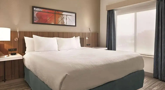 Двухместный люкс Hilton Garden Inn Fort Wayne