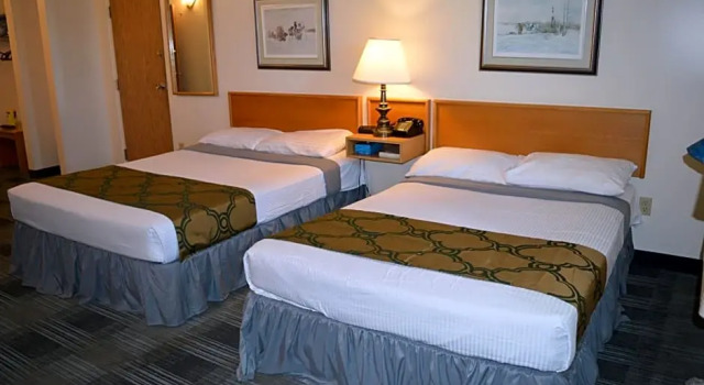 Номер Deluxe Agassiz Park Lodge