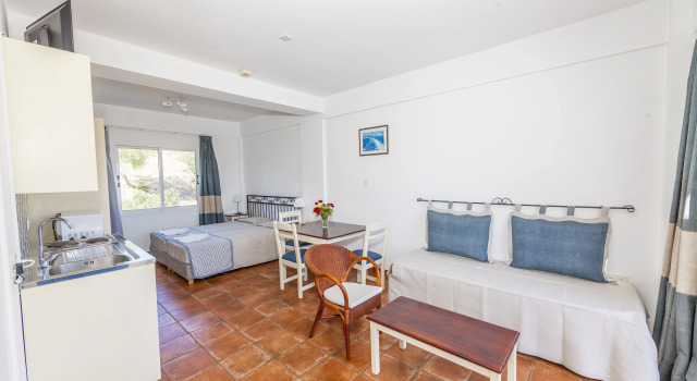 Standard studio Andreotis Hotel Apts