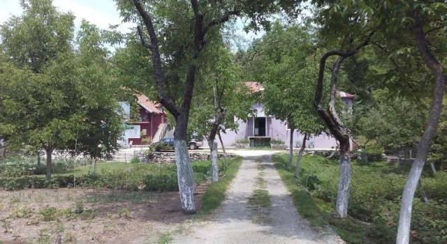 Апартаменты c 1 комнатой Casa Calda Apartments