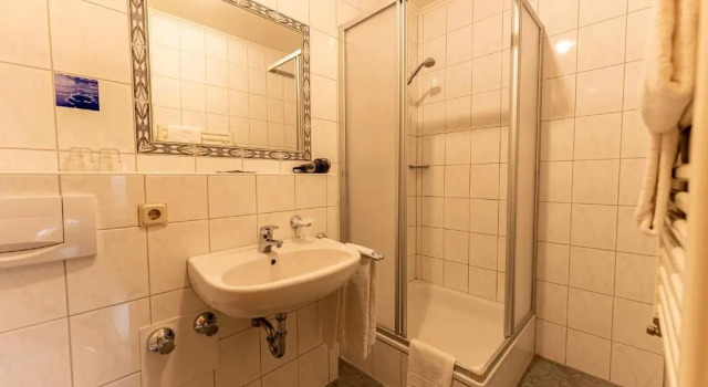 Трёхместный номер Standard Hotel Im Fronhof