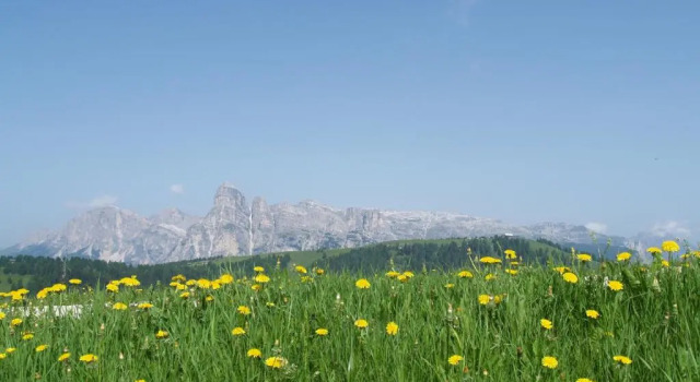 Апартаменты Deluxe Residence Vajolet San Cassiano