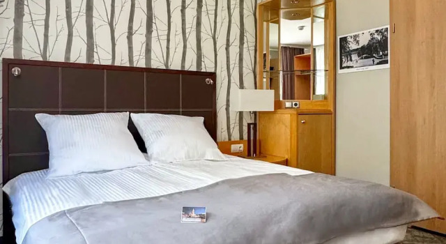 Номер Comfort Hotel Malinowski Leśny