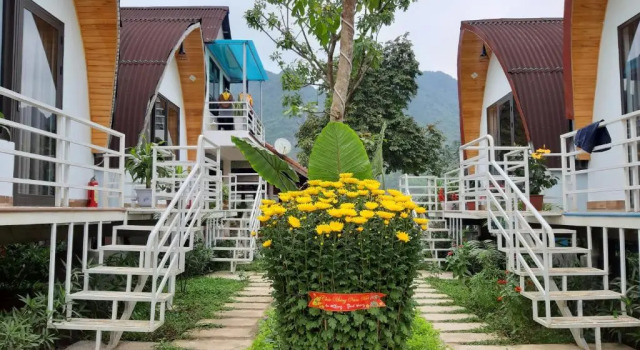 Трёхместный номер Standard Phong Nha Hillside View Bungalow