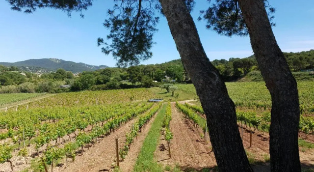 Коттедж Domaine de la Navicelle