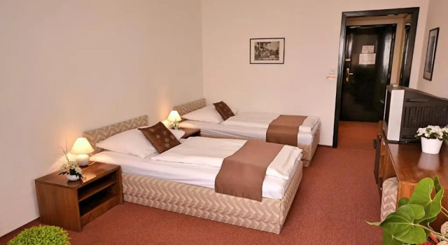 Двухместный номер Standard A-Austerlitz Hotel