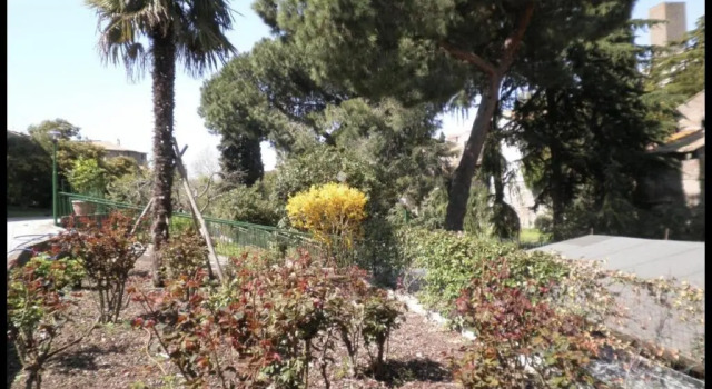 Четырёхместный номер Standard Nazareth Residence