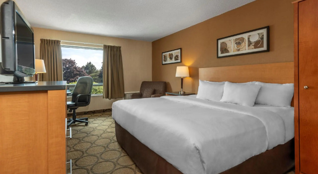 Двухместный номер Standard Comfort Inn Thunder Bay