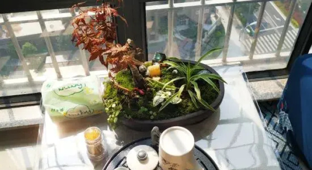 Zhangzhou Yashe Homestay (Wanda Plaza), Book Hotel Zhangzhou Fujian