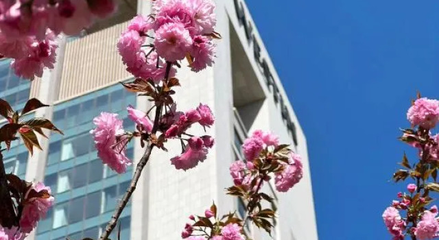 The Westin Yantai, Reservar Hotel Hotéis de 5 estrelas em Shandong, 5*