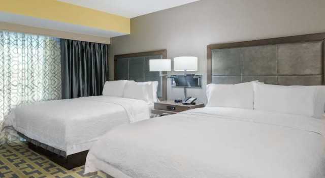 Четырёхместная люкс-студио Accessible Hampton Inn & Suites Tampa Airport Avion Park Westshore