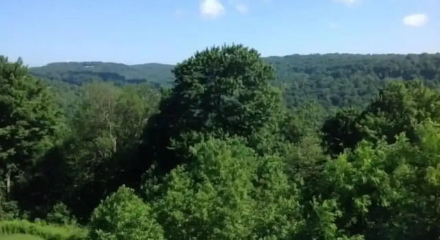 Номер Standard Seven Springs 4 BR Premium Condo, Mountain Views! by RedAwning