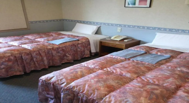 Номер Superior Hotel Hyper Hills Hirosaki