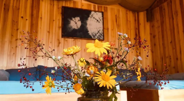 Семейное бунгало Sapa Jungle Homestay