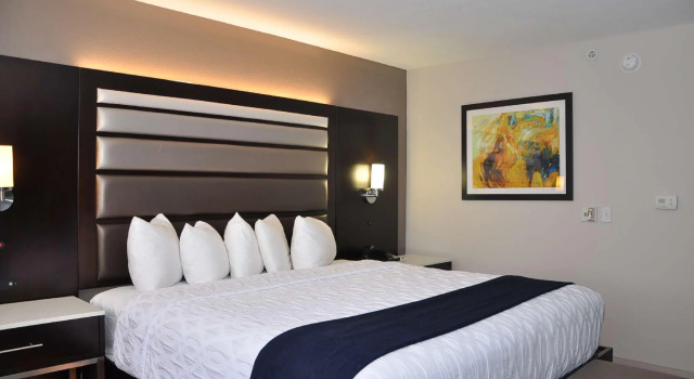 Standard- dobbelt værelse Radisson Hotel Jacksonville Butler Boulevard