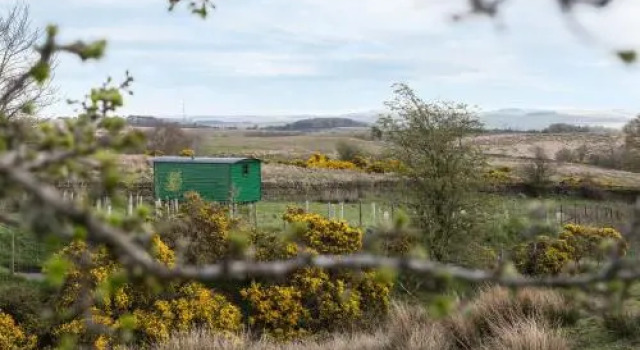 Peat Gate Shepherd's Hut, Забронировать Отель Отели Шотландских границ с парковкой, Парковка