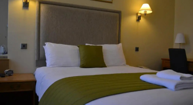 Одноместный номер Standard Swan Revived Hotel