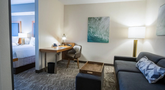 Четырёхместная студия SpringHill Suites by Marriott Winston-Salem Hanes Mall