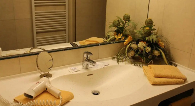 Двухместный номер Standard Airporthotel Salzburg - Hotel am Salzburg Airport
