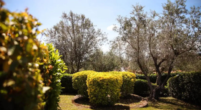 Villa Edera Saturnia, Book Villa Saturnia Toscana