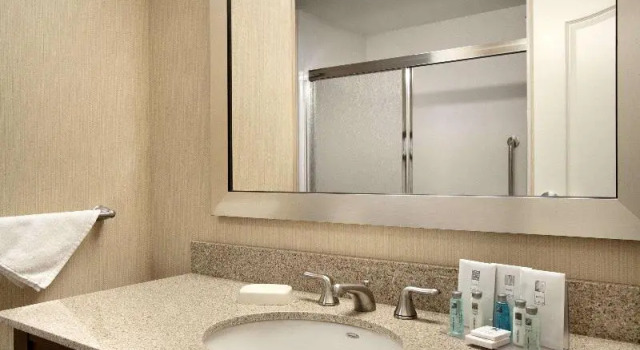 Двухместная студия Hampton Inn & Suites Charles Town