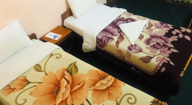 Кровать в общем номере Hotel Green Orchid pvt ltd