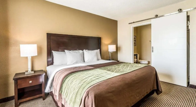 Номер Standard Comfort Inn Detroit Downtown