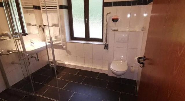 Семейный номер Standard Heidehotel Soltauer Hof