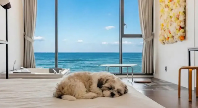 Standaard kamer Yangyang Surf Shack