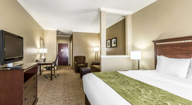 Двухместный люкс Comfort Suites Houston IAH Airport - Beltway 8