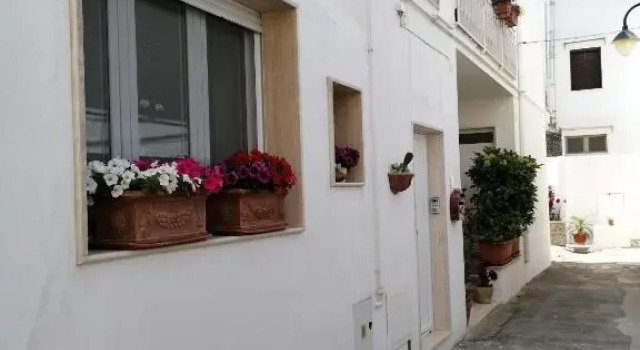 Casa Low Cost