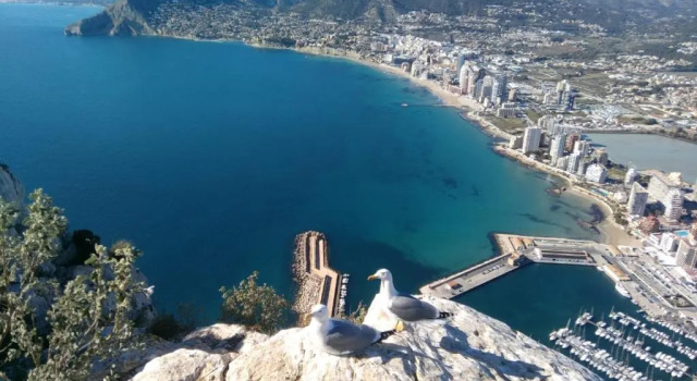 Апартаменты CALPE9A