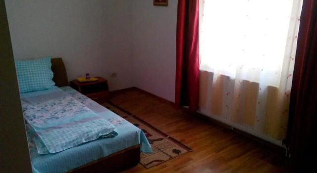 Номер Standard Pensiunea Vladut Timisoara