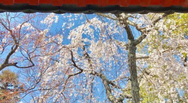 Naramachi Tonari, Prenota Hotel Hotel a Nara con parcheggio, Parcheggio