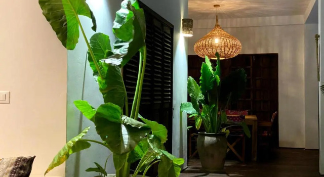 Апартаменты Deluxe Joya Beach Suites & Villa