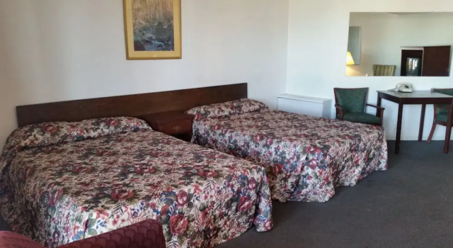 Одноместный номер Standard Essex House Motel