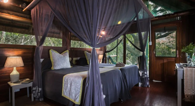 Семейный номер Standard Kosi Forest Lodge