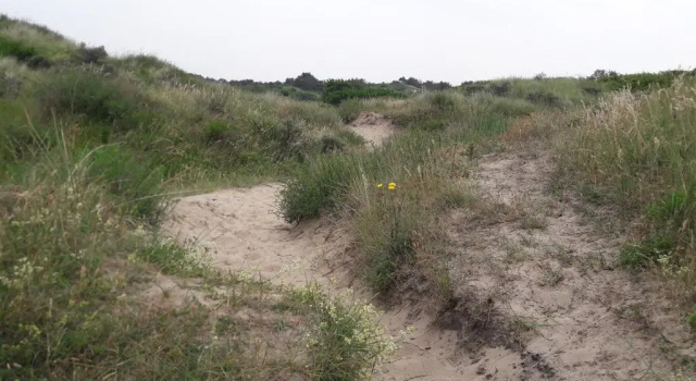 Шале Chalet Dalile IJmuiden aan Zee vlakbij het strand
